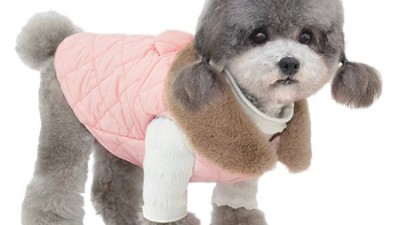 겨울맞이 득템! 댕댕이를 위한 따뜻한 올인원 패딩 조끼 후기🐶