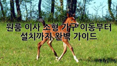 원룸 이사, 소형 가구 이동부터 설치까지 완벽 가이드! 📦🛠️