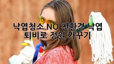 낙엽🍂청소? NO! ♻️친환경 낙엽 퇴비로 정원 가꾸기!
